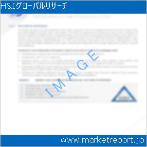市場と産業調査レポートのイメージ